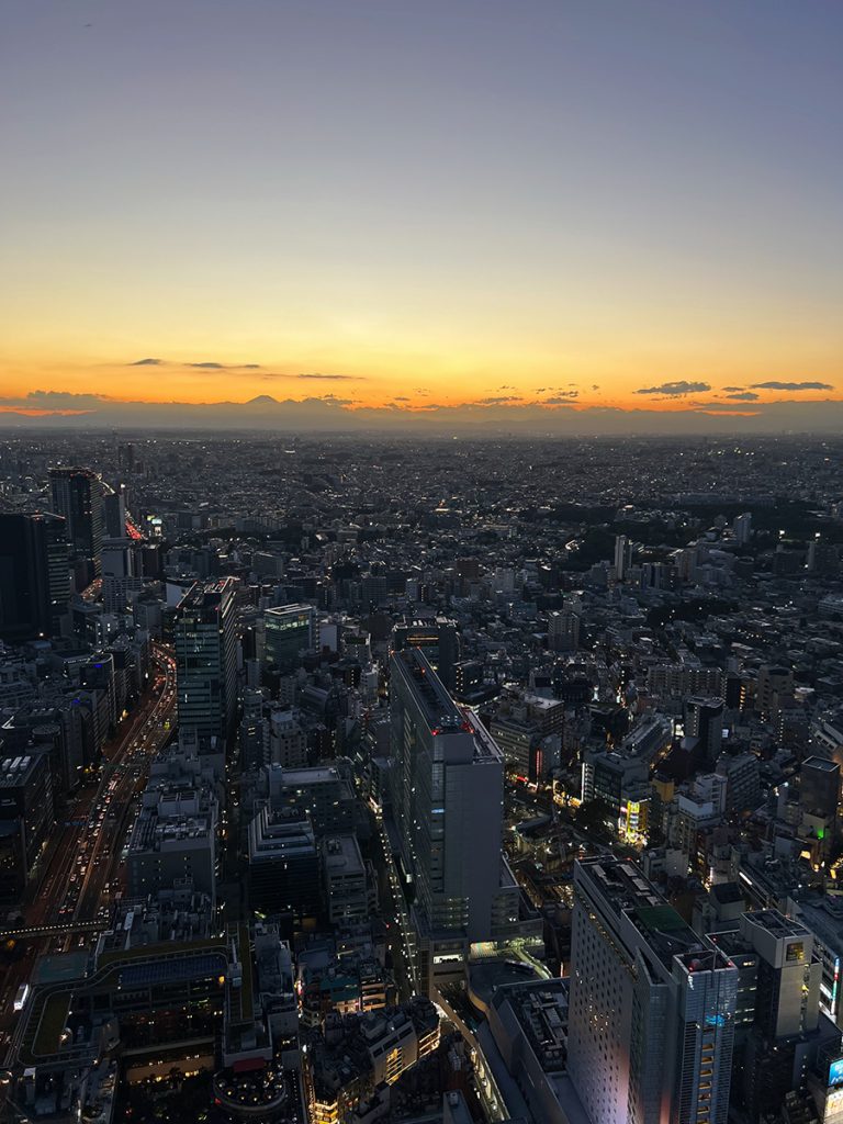 Best views in Tokyo from Shibuya Sky featured in a blog post about Tokyo's best observation decks