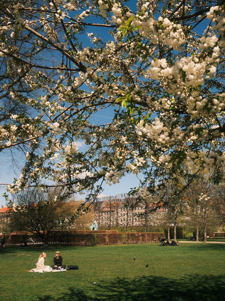Image of the green gardens at Rosenborg Castle in Copenhagen.